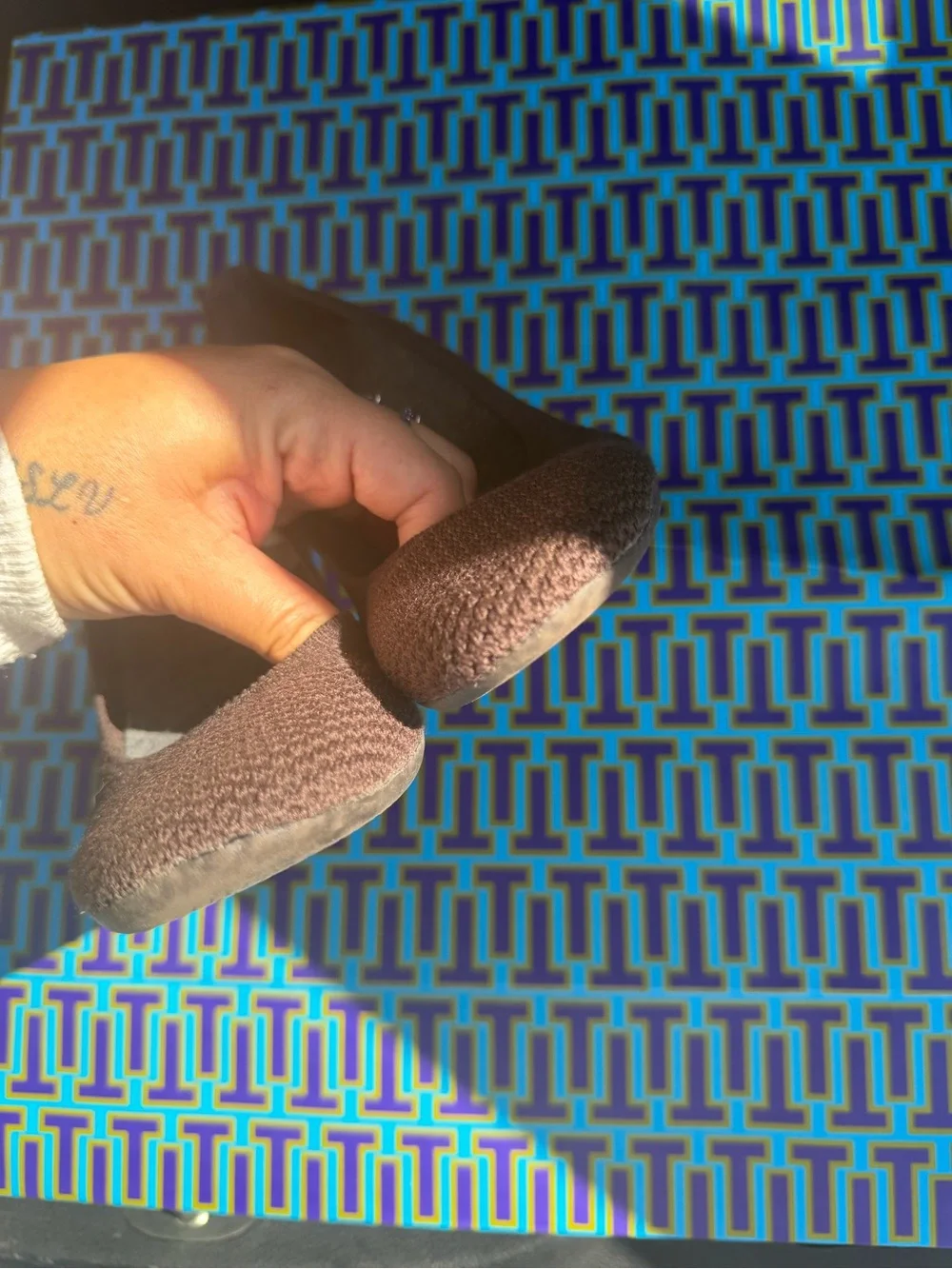 allbirds comfortable knit